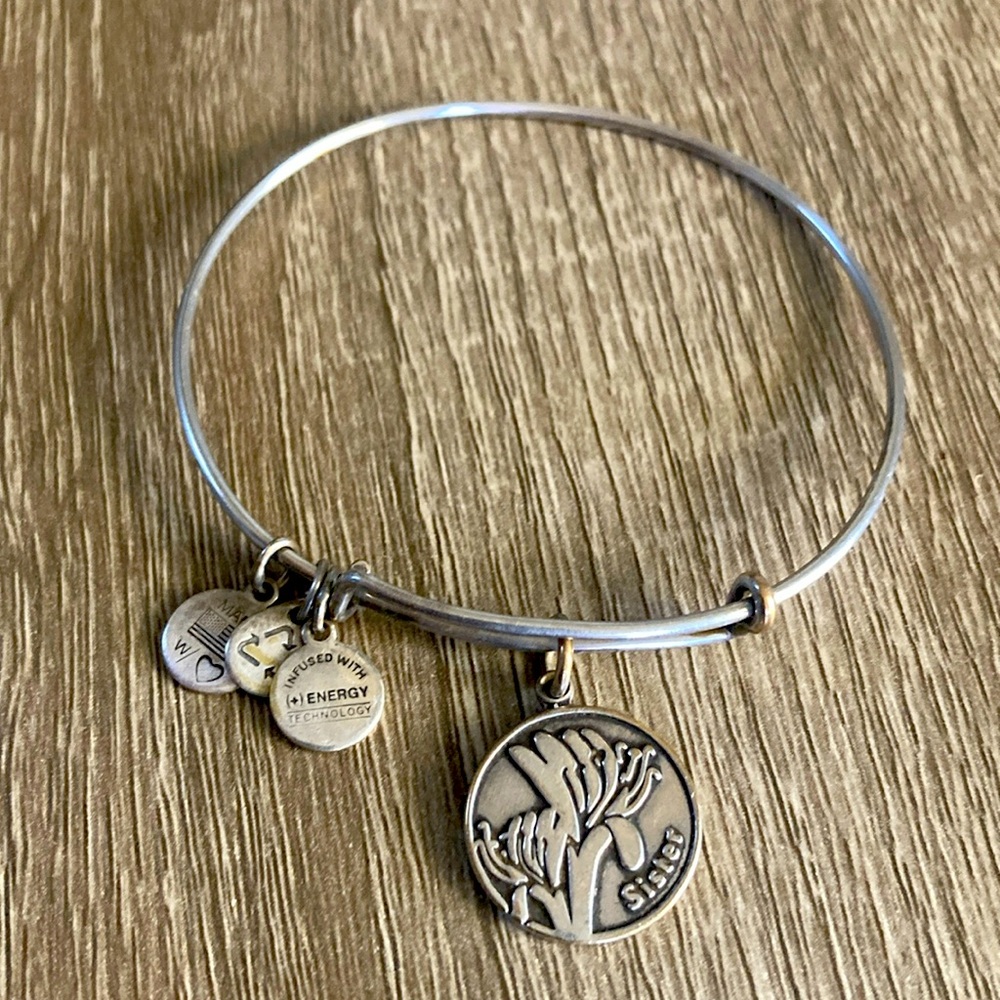 Alex and Ani Sister Bracelet 2014 Silver Finish Stackable